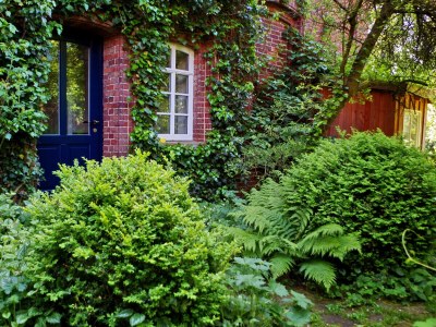 Holiday apartment The large holiday apartment - Outdoor photo 6