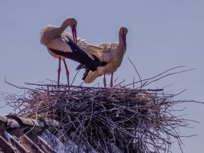 Holiday apartment The large holiday apartment - Outdoor photo 7
