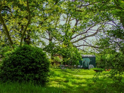 Holiday apartment The large holiday apartment - Outdoor photo 9