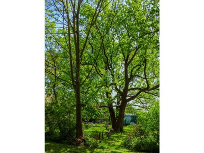 Holiday apartment The large holiday apartment - Outdoor photo 10