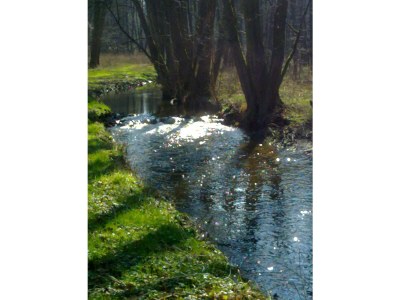 Holiday apartment The large holiday apartment - Environment photo 39