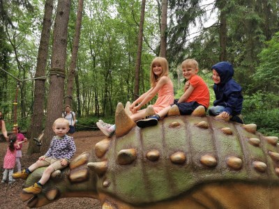 Holiday apartment The large holiday apartment - Environment photo 40