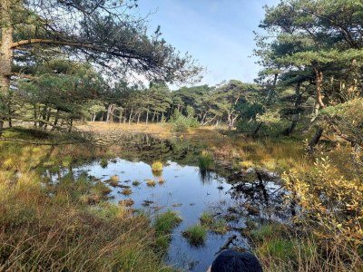 Holiday house 4 person holiday home in Rømø - Outdoor photo 33