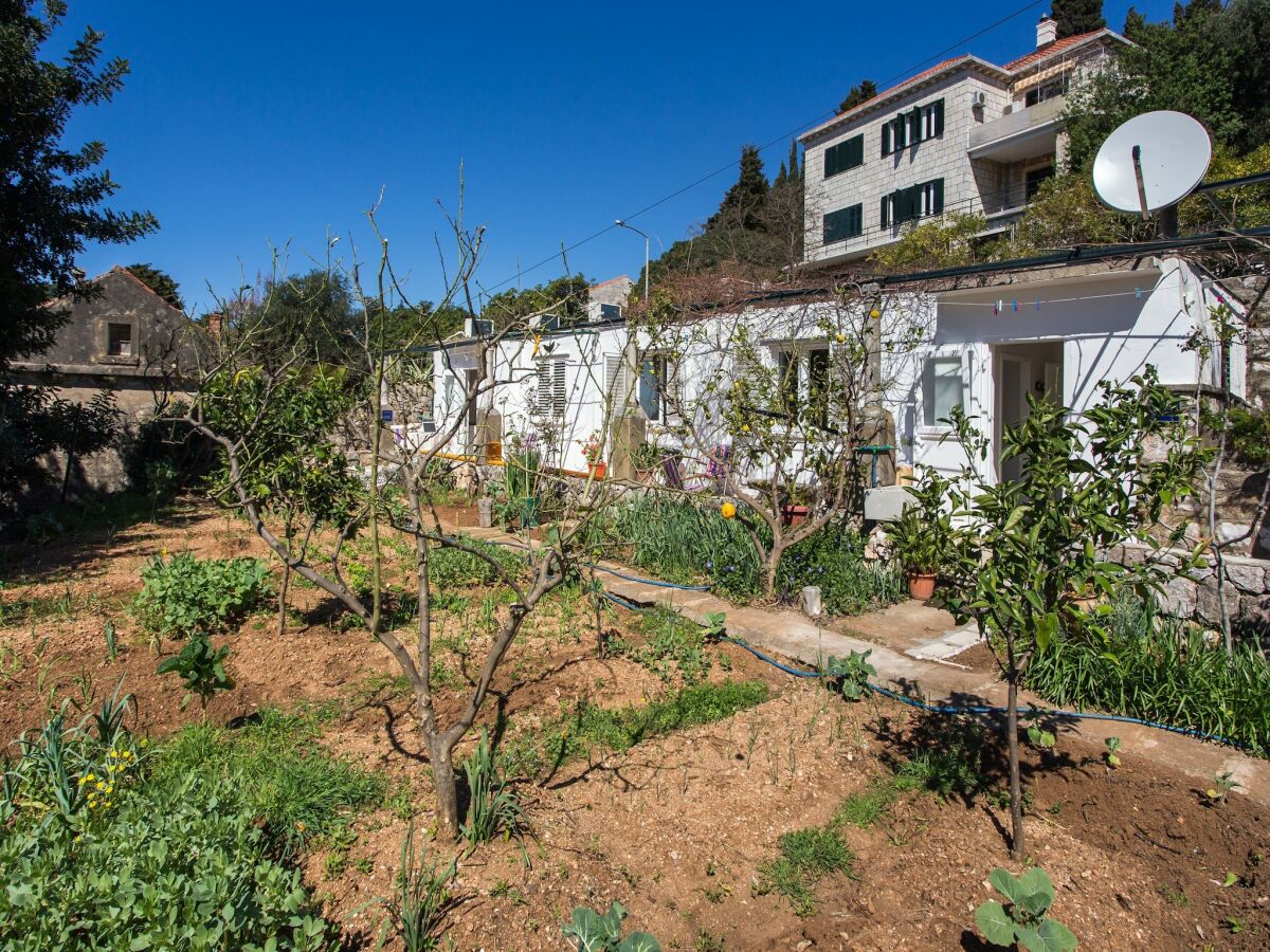 Apartment Apartments Ljubimir - One-Bedroom Apartment with Shared Terrace - Bambo