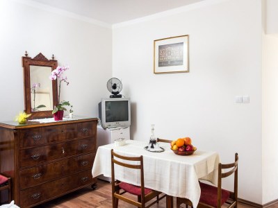 Apartment Apartments Ljubimir - One-Bedroom Apartment with Shared Terrace - Bambo - Features photo 7