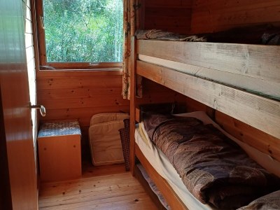 Holiday house 7 person holiday home in Skjold-By Traum - Outdoor photo 13