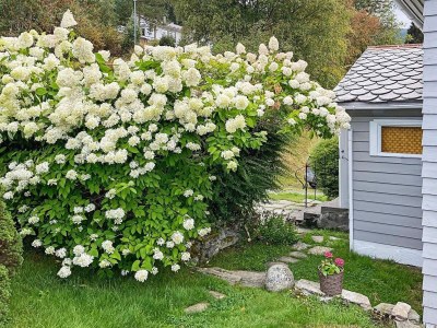 Holiday house 6 person holiday home in Utvik - Outdoor photo 8