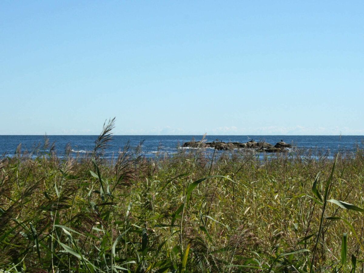 Apartment Seaside Idyll in Svaneke - By Traum Ferienwohnungen - Outdoor photo 5