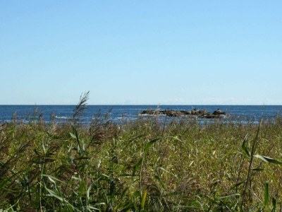 Apartment Seaside Idyll in Svaneke - By Traum Ferienwohnungen - Outdoor photo 5