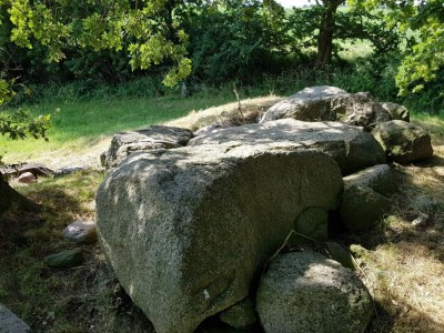 Apartment Seaside Idyll in Svaneke - By Traum Ferienwohnungen - Outdoor photo 15