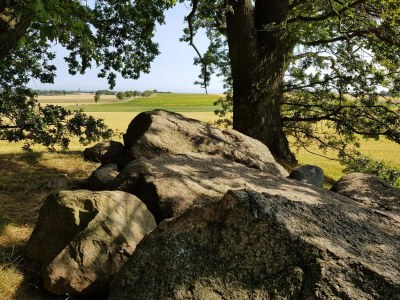 Apartment Seaside Idyll in Svaneke - By Traum Ferienwohnungen - Outdoor photo 18