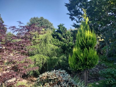 Apartment Seaside Idyll in Svaneke - By Traum Ferienwohnungen - Outdoor photo 21