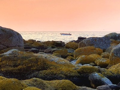 Apartment Seaside Idyll in Svaneke - By Traum Ferienwohnungen - Outdoor photo 23