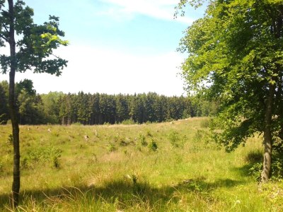 Apartment Seaside Idyll in Svaneke - By Traum Ferienwohnungen - Outdoor photo 24