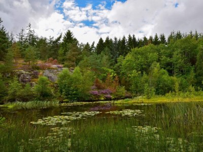 Apartment Seaside Idyll in Svaneke - By Traum Ferienwohnungen - Outdoor photo 25