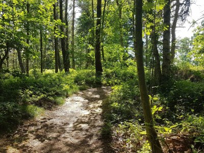 Apartment Seaside Idyll in Svaneke - By Traum Ferienwohnungen - Outdoor photo 26