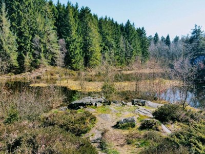 Apartment Seaside Idyll in Svaneke - By Traum Ferienwohnungen - Outdoor photo 29