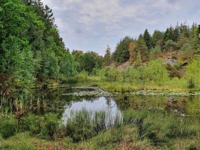 Apartment Seaside Idyll in Svaneke - By Traum Ferienwohnungen - Outdoor photo 30