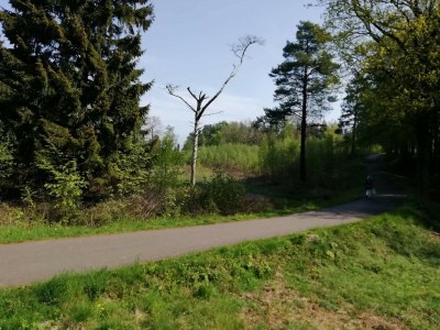 Apartment Seaside Idyll in Svaneke - By Traum Ferienwohnungen - Outdoor photo 31