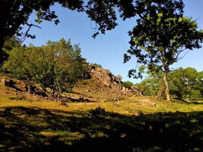 Apartment Seaside Idyll in Svaneke - By Traum Ferienwohnungen - Outdoor photo 33