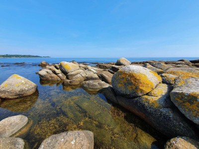 Apartment Seaside Idyll in Svaneke - By Traum Ferienwohnungen - Outdoor photo 36