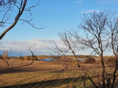 Holiday house 4 Personen Ferienhaus in Martofte - Outdoor photo 2