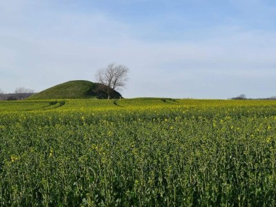 Holiday house 4 Personen Ferienhaus in Martofte - Outdoor photo 7