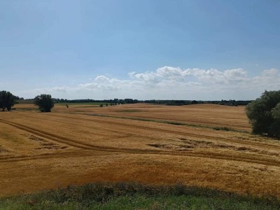 Holiday house 4 Personen Ferienhaus in Martofte - Outdoor photo 8