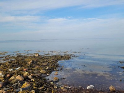 Holiday house 4 Personen Ferienhaus in Martofte - Outdoor photo 9