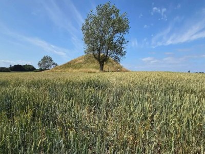 Holiday house 4 Personen Ferienhaus in Martofte - Outdoor photo 11