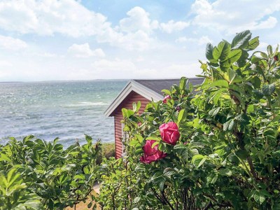 Holiday house 4 Personen Ferienhaus in Martofte - Outdoor photo 12