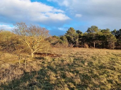 Holiday house 4 Personen Ferienhaus in Martofte - Outdoor photo 32