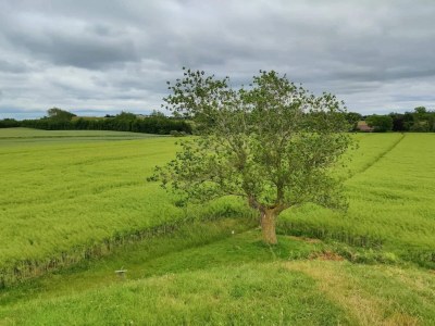 Holiday house 4 Personen Ferienhaus in Martofte - Outdoor photo 33