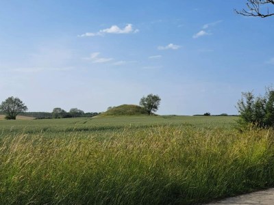 Holiday house 4 Personen Ferienhaus in Martofte - Outdoor photo 34