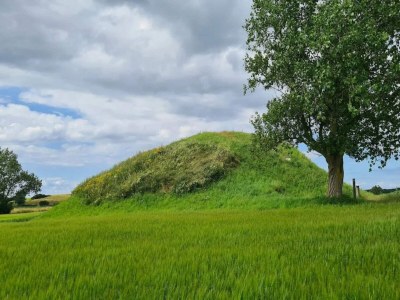 Holiday house 4 Personen Ferienhaus in Martofte - Outdoor photo 36