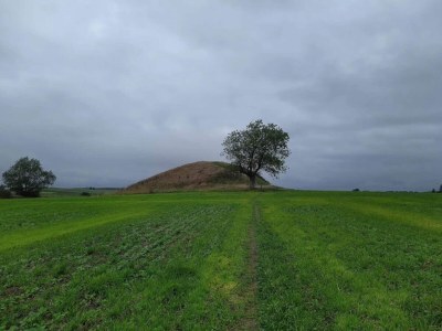 Holiday house 4 Personen Ferienhaus in Martofte - Outdoor photo 37
