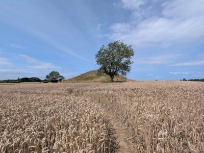 Holiday house 4 Personen Ferienhaus in Martofte - Outdoor photo 41