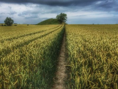 Holiday house 4 Personen Ferienhaus in Martofte - Outdoor photo 42