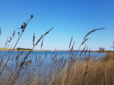 Holiday house 4 Personen Ferienhaus in Martofte - Outdoor photo 43