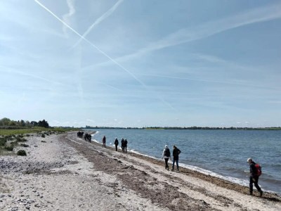 Holiday house 4 Personen Ferienhaus in Martofte - Outdoor photo 46