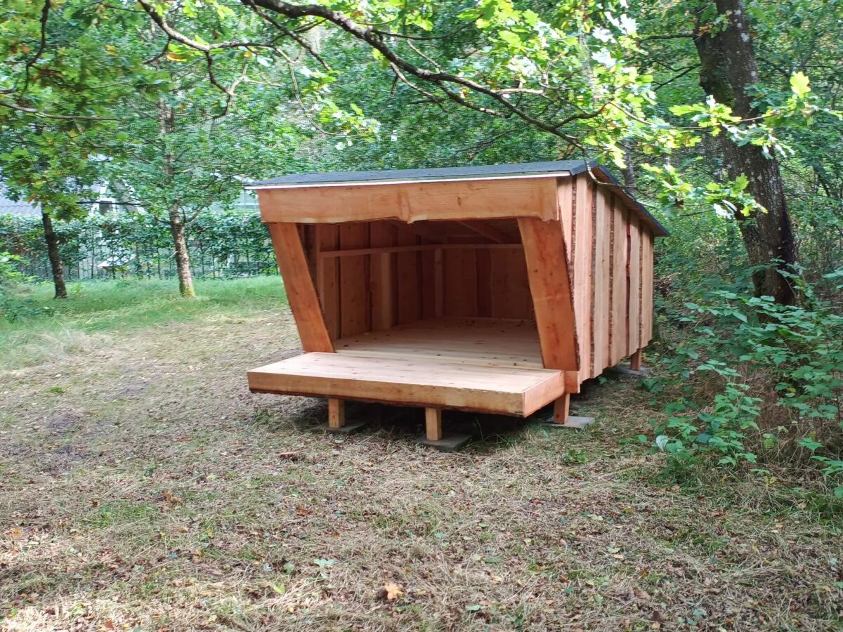 Holiday house 4 star holiday home in - Outdoor photo 3