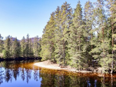 Apartment 8 Personen Ferienhaus in Åmli - Outdoor photo 12