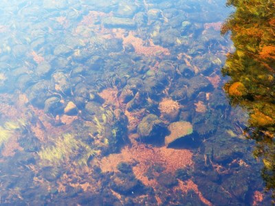 Apartment 8 Personen Ferienhaus in Åmli - Outdoor photo 13