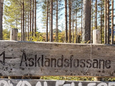 Apartment 8 Personen Ferienhaus in Åmli - Outdoor photo 20