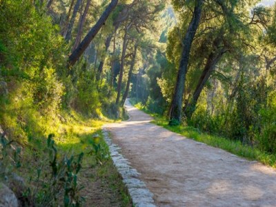 Apartment Feel Good Apartment - Two-Bedroom Apartment with Terrace and Garden View - Outdoor photo 34