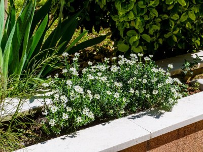 Apartment Apartment Veronika - One Bedroom Apartment with Terrace in Dubrovnik - Apartment