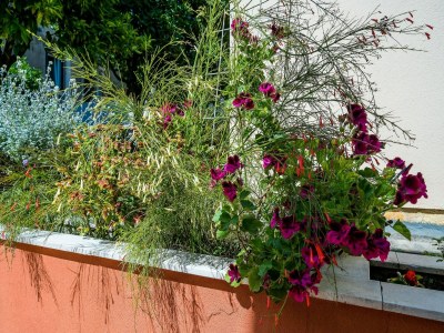 Apartment Apartment Veronika - One Bedroom Apartment with Terrace - Outdoor photo 2