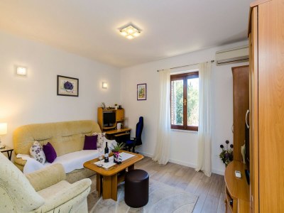 Apartment Apartment Veronika - One Bedroom Apartment with Terrace - Features photo 11