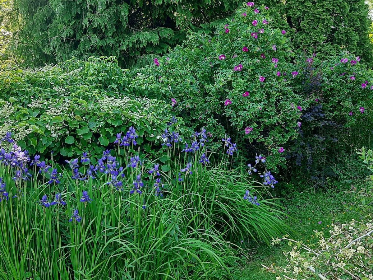 Holiday house 6 Personen Ferienhaus in Lyngdal - Outdoor photo 4
