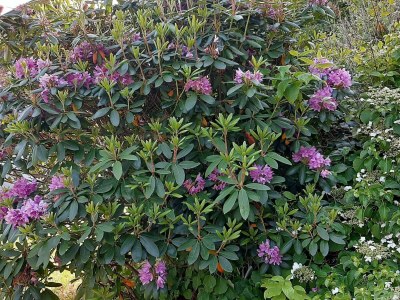 Holiday house 6 Personen Ferienhaus in Lyngdal - Outdoor photo 7